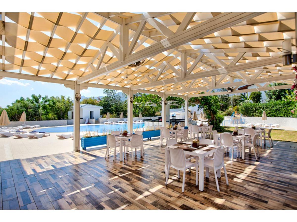 Queen Aphrodite Hotel Karpasa Buitenkant foto